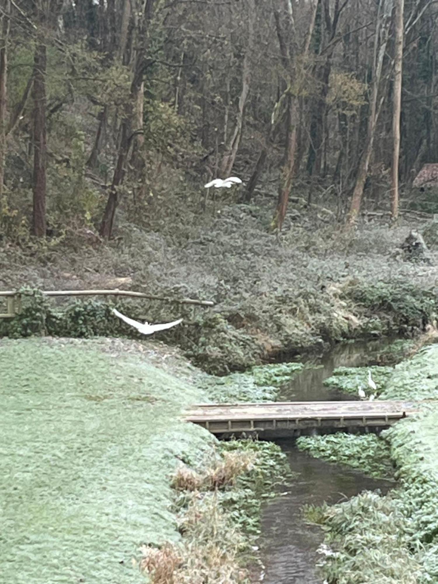 Le Vieux Moulin Chamant Senlis 60300 Daire Dış mekan fotoğraf